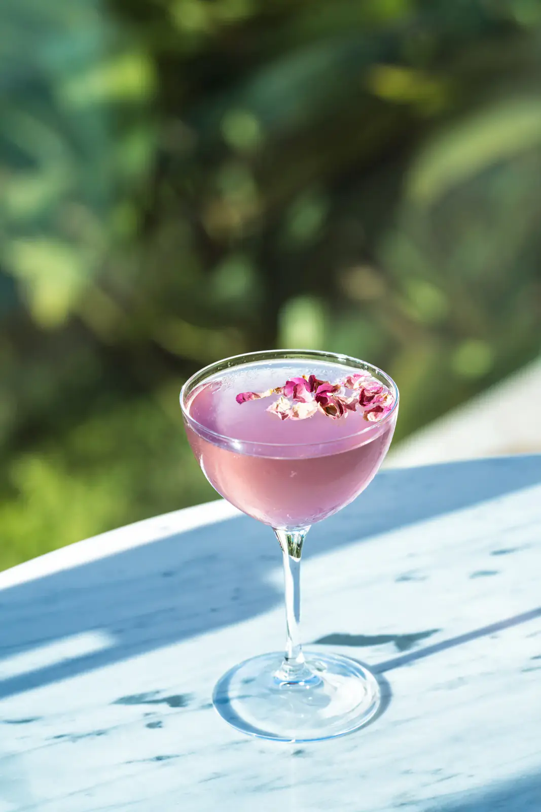 Tricky Tales — DSC09013