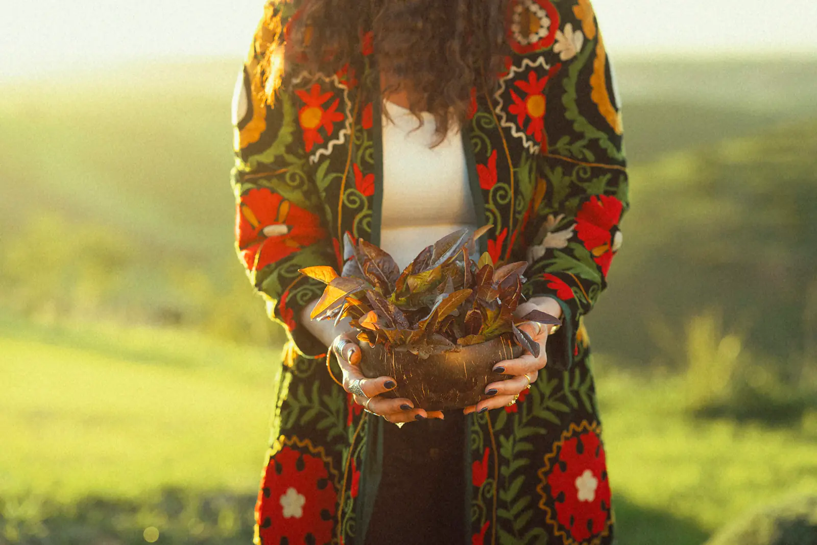 Tricky Tales — DSC03179